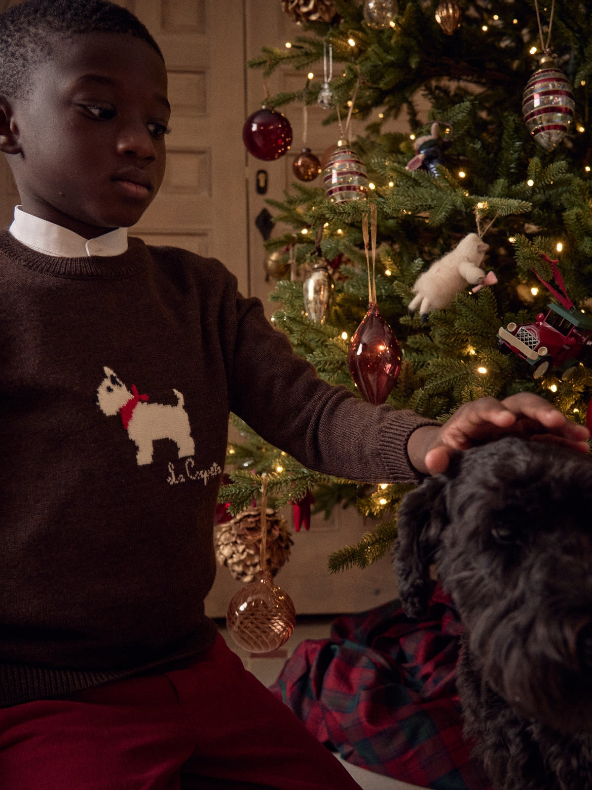Chocolate Patricio Merino Kids Jumper