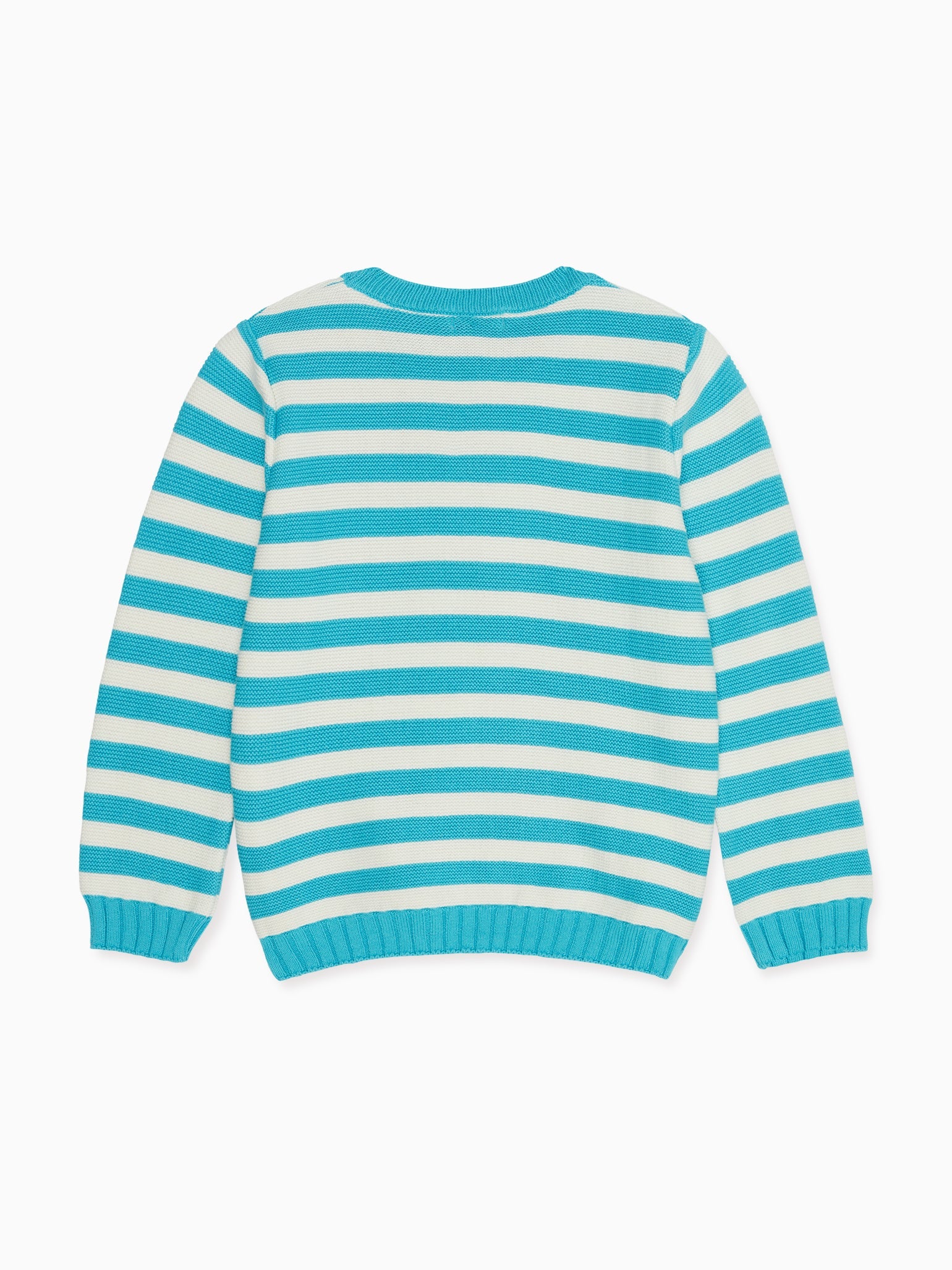 Aqua Stripe Ramon Boy Cotton Jumper