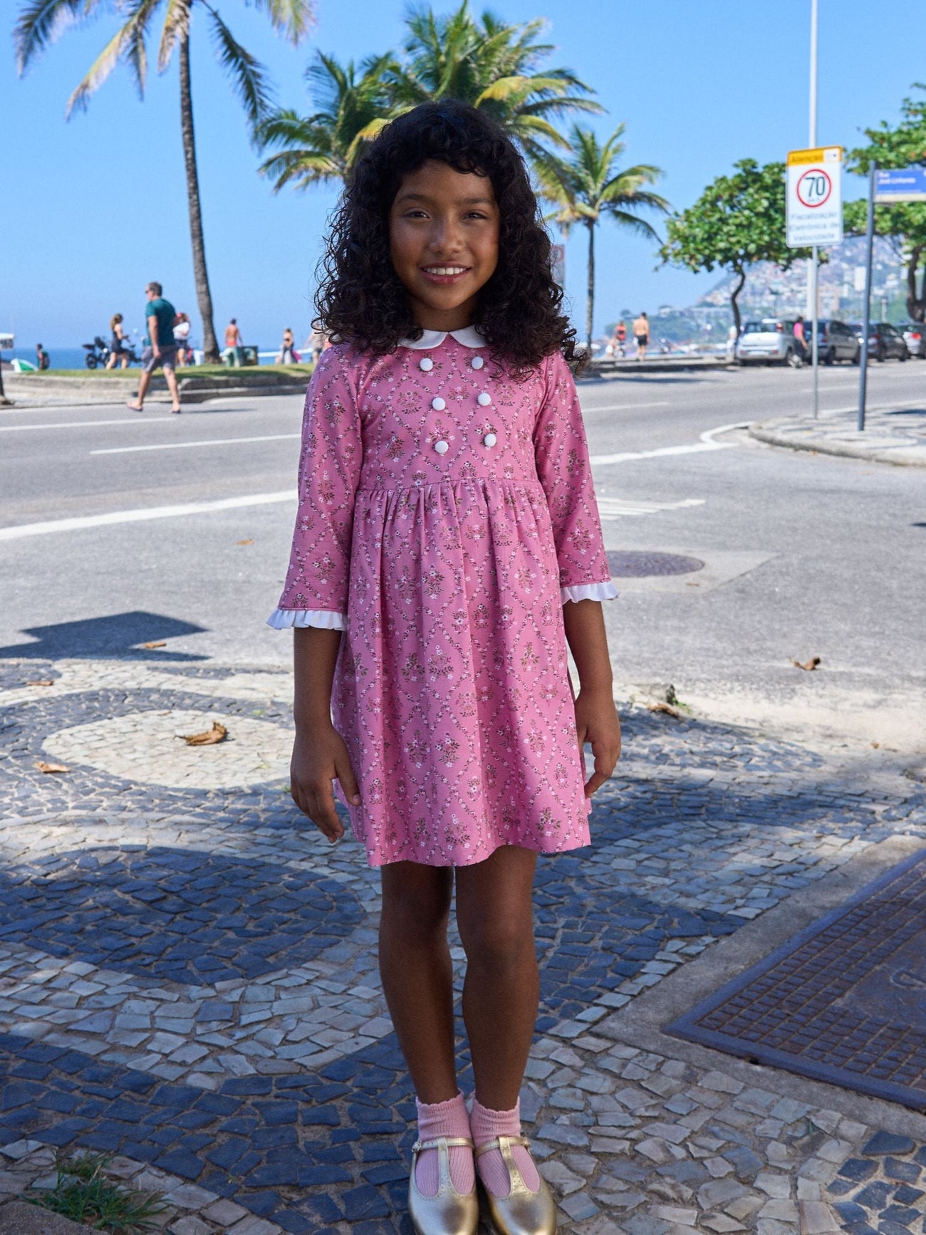 Pink Garland Trellis Provenza Girl Dress