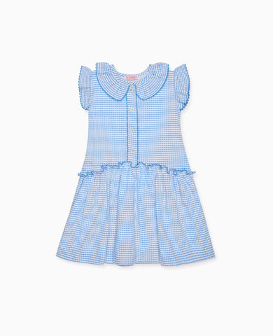 Blue Gingham Fabiola Girl Drop Waist Dress