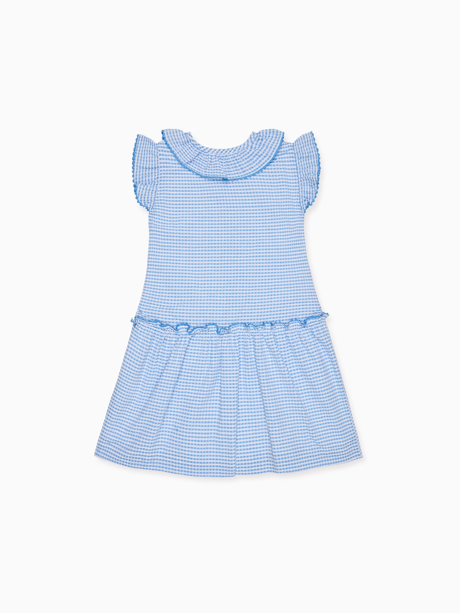 Blue Gingham Fabiola Girl Drop Waist Dress